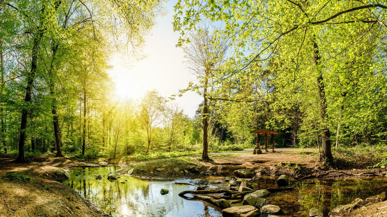 natuur