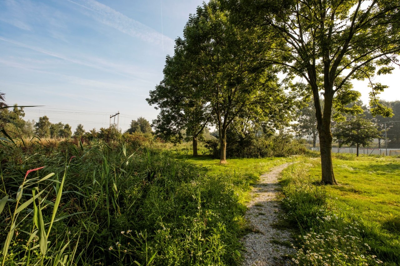 natuurwandeling